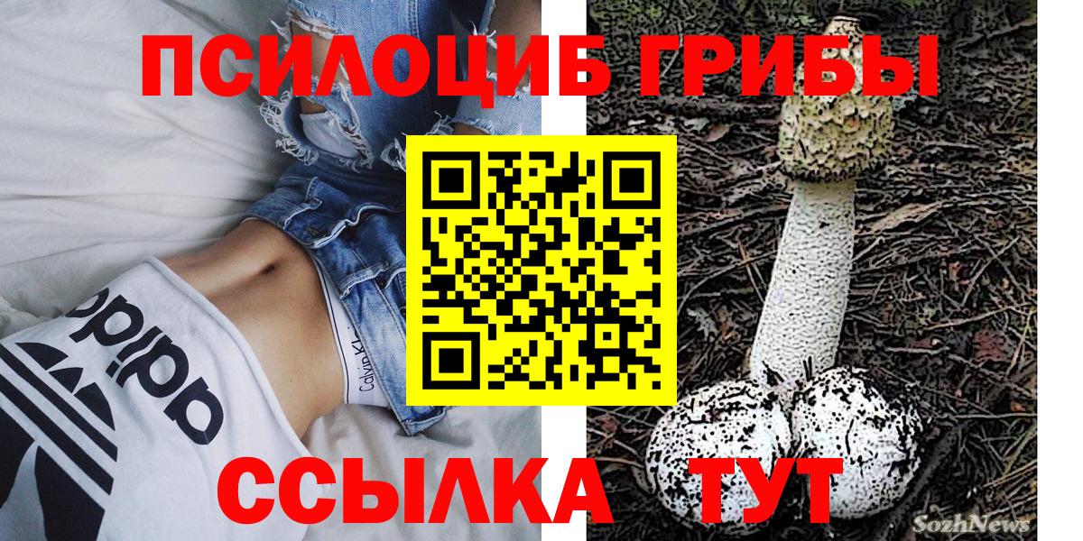 Псилоцибиновые грибы прущие грибы  Вход с VPN  Кохма  Галлюциногенные грибы MAGIC MUSHROOMS 